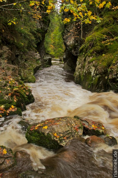 Rechenfelsen in der Haslachschlucht