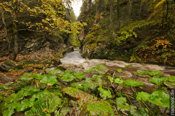 Rechenfelsen in der Haslachschlucht, Schwarzwald