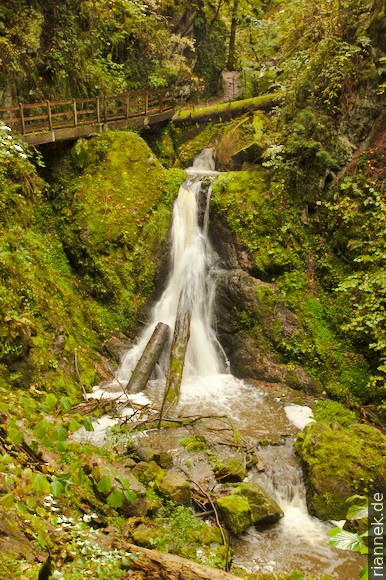 Lotenbachklamm