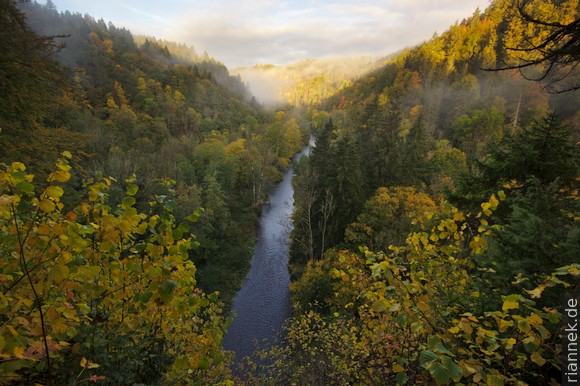 Wutach Gorge