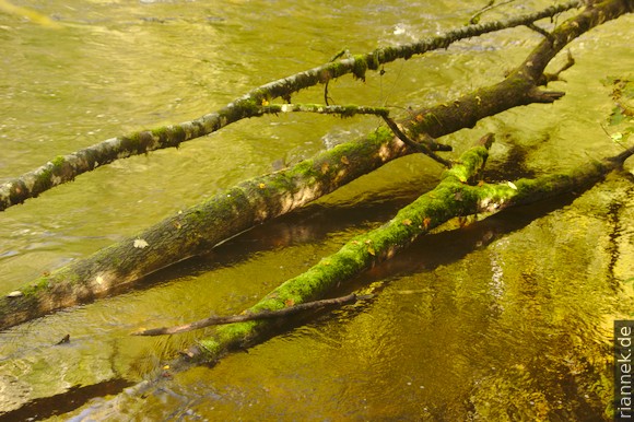 Wutach Gorge