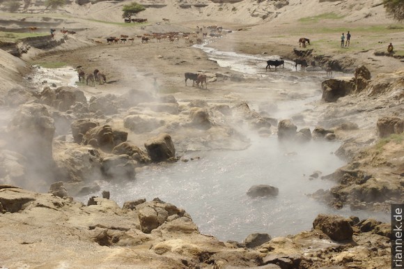 Hot Springs at Lake Shalla